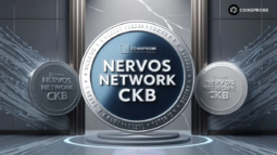 Nervos-Network-CKB