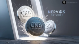 Nervos Network (CKB) Tokens