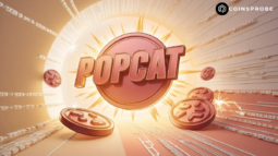 Popcat coins