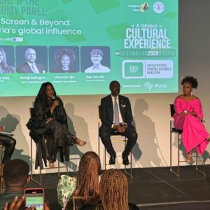 Gluwa CEO Advocates for a Borderless Financial System for Nigeria’s Creative Industry at UN General Assembly Side Event