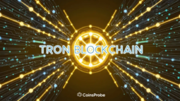 TRON Blockchain