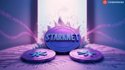 starknet coin