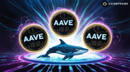 AAVE Token with whale