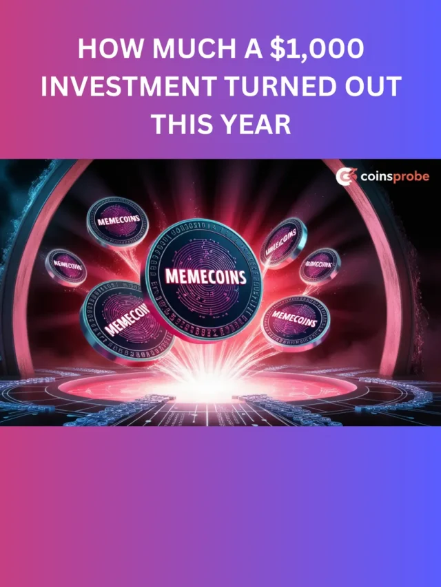 Explore How Much a $1,000 Investment in This Memecoins Turned Out This Year