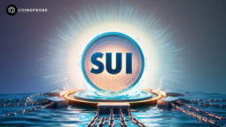 SUI COIN