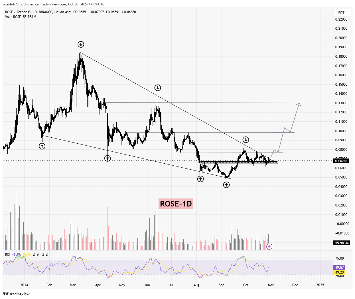 Oasis (ROSE) Chart Analysis
