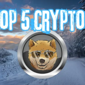 Top 5 Cryptos to Buy Before the Next Crypto Winter – Secure Your Profits