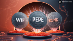 PEPE-WIF-and-BONK tokens