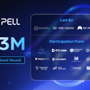 Pell Network Secures $3M Funding to Build Omnichain DVS Network