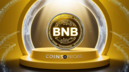 BNB Token Logo