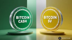 Bitcoin Cash (BCH) and Bitcoin SV (BSV) Token Logo