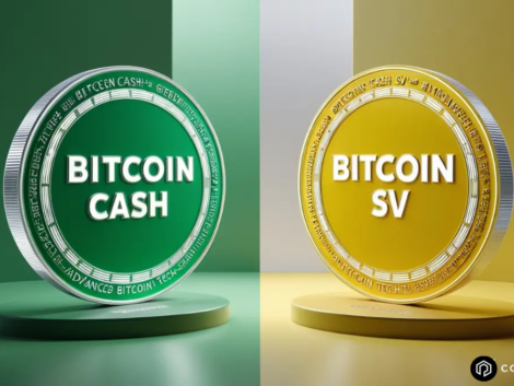 Bitcoin Cash (BCH) and Bitcoin SV (BSV) Token Logo