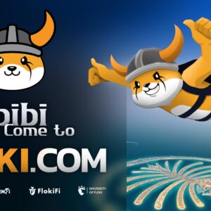 FLOKI Announces Dubai Takeover with WAFI Mall Campaign