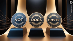 NOT-DOGS-and-HMSTR-Tokens Logo