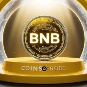 BNB Gains Bullish Momentum Following New ATH: Is The Rally Started?