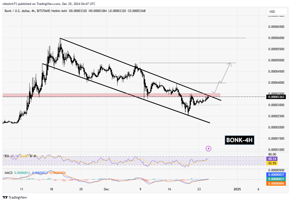 Bonk (BONK) Chart Analysis 