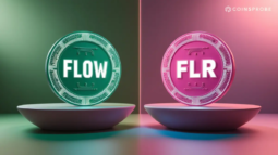 FLOW and FLR Tokens