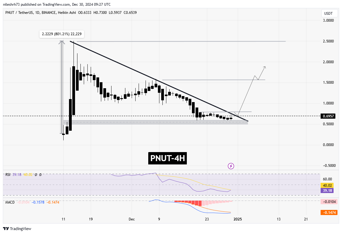 Peanut the Squirrel (PNUT) Chart Analysis