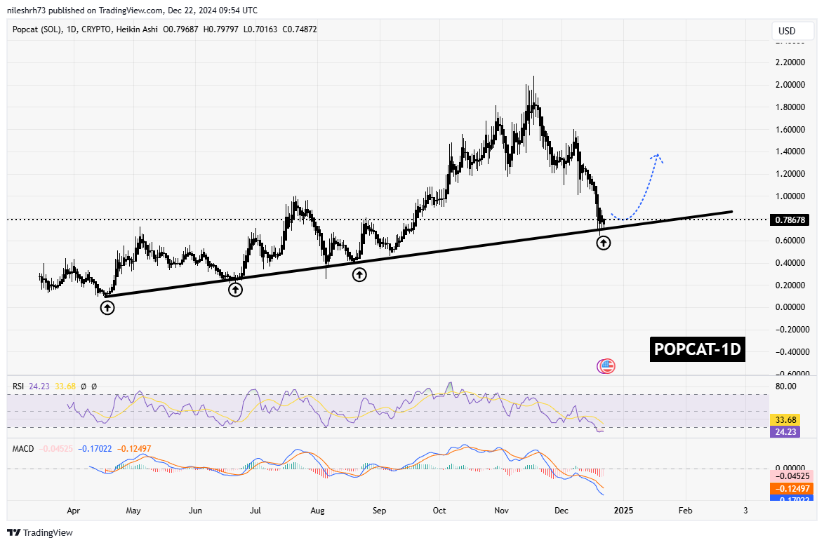 Popcat (POPCAT) Chart Analysis