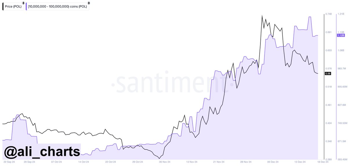 Polygon (POL) Whales Chart