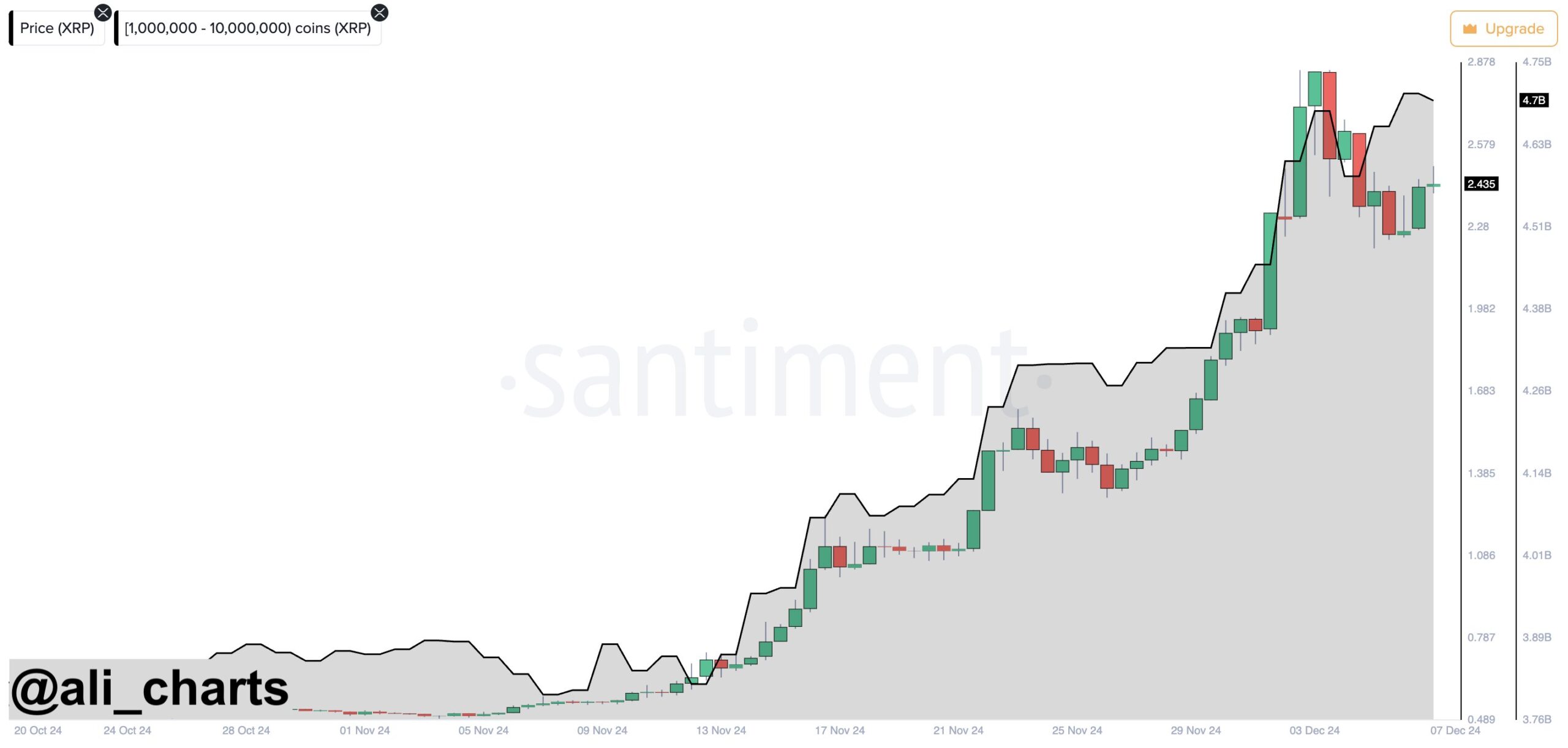 XRP Whales Accumulation