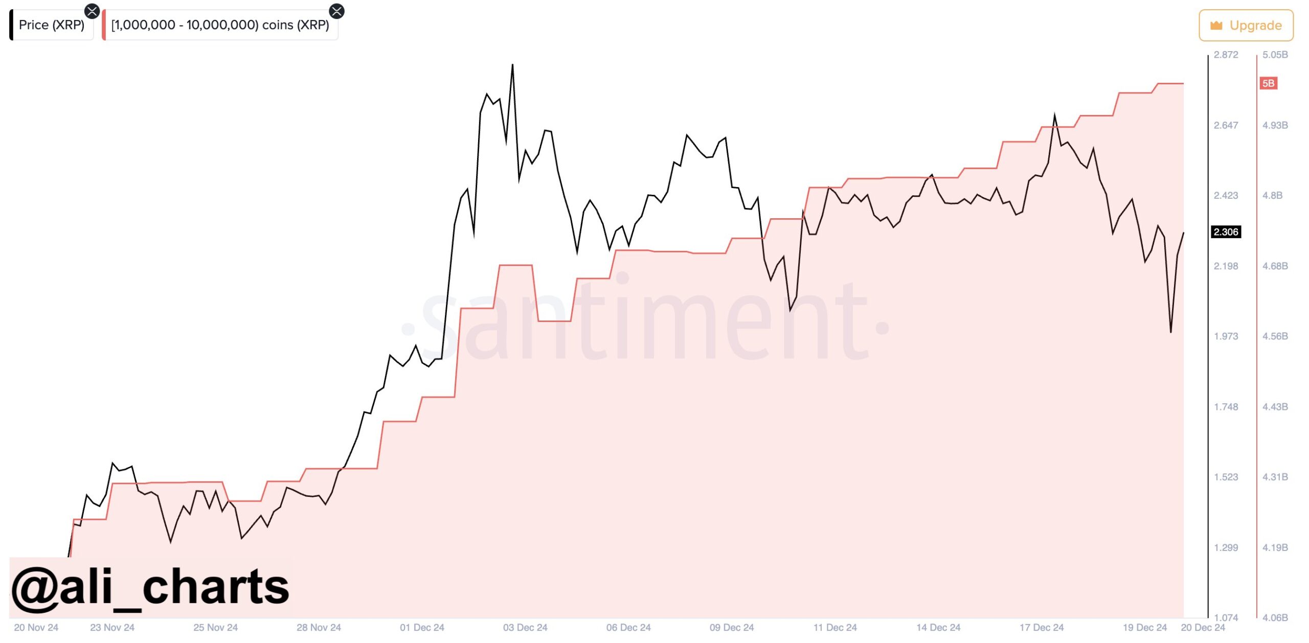 XRP Whales Data 21 Dec