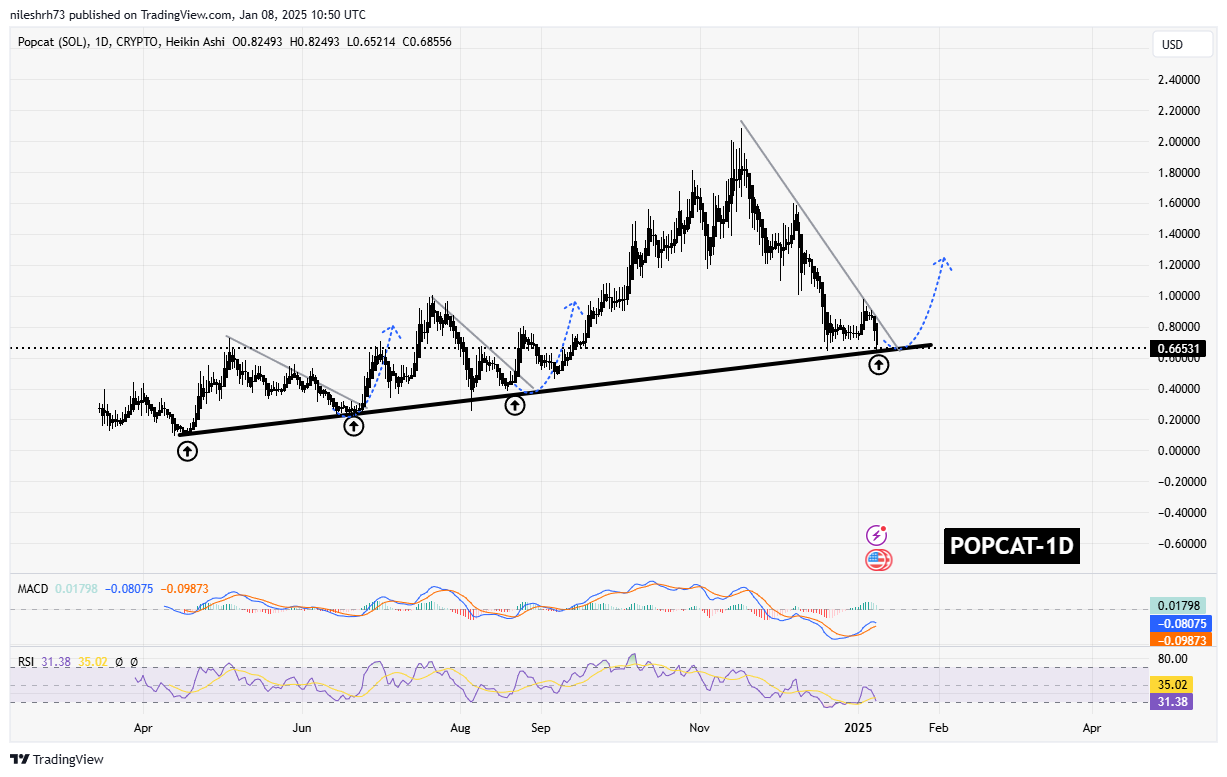 POPCAT Chart Analysis