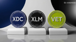 XDC, XLM and VET Tokens