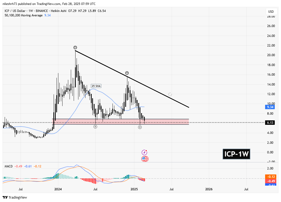 Internet Computer (ICP) Chart
