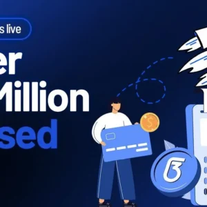 Solana & XRP Lose Investor Interest While  Web3Bay Attracts Attention with $1.55M Presale Surge