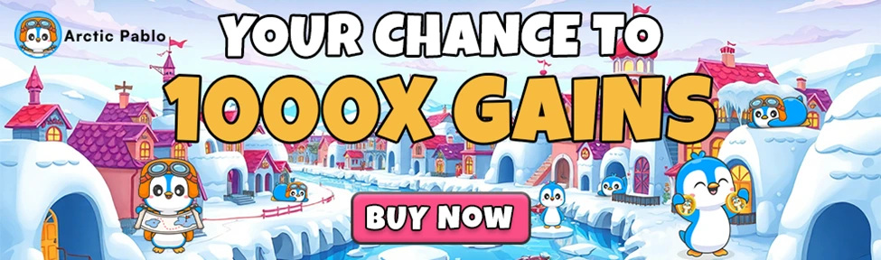 meme coin investment