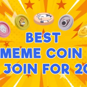3 Best Meme Coins to Join for Passive Income in 2025 – BTFD Presale’s 3650% ROI Opportunity Amid GOAT and CHILLGUY’s Hype!