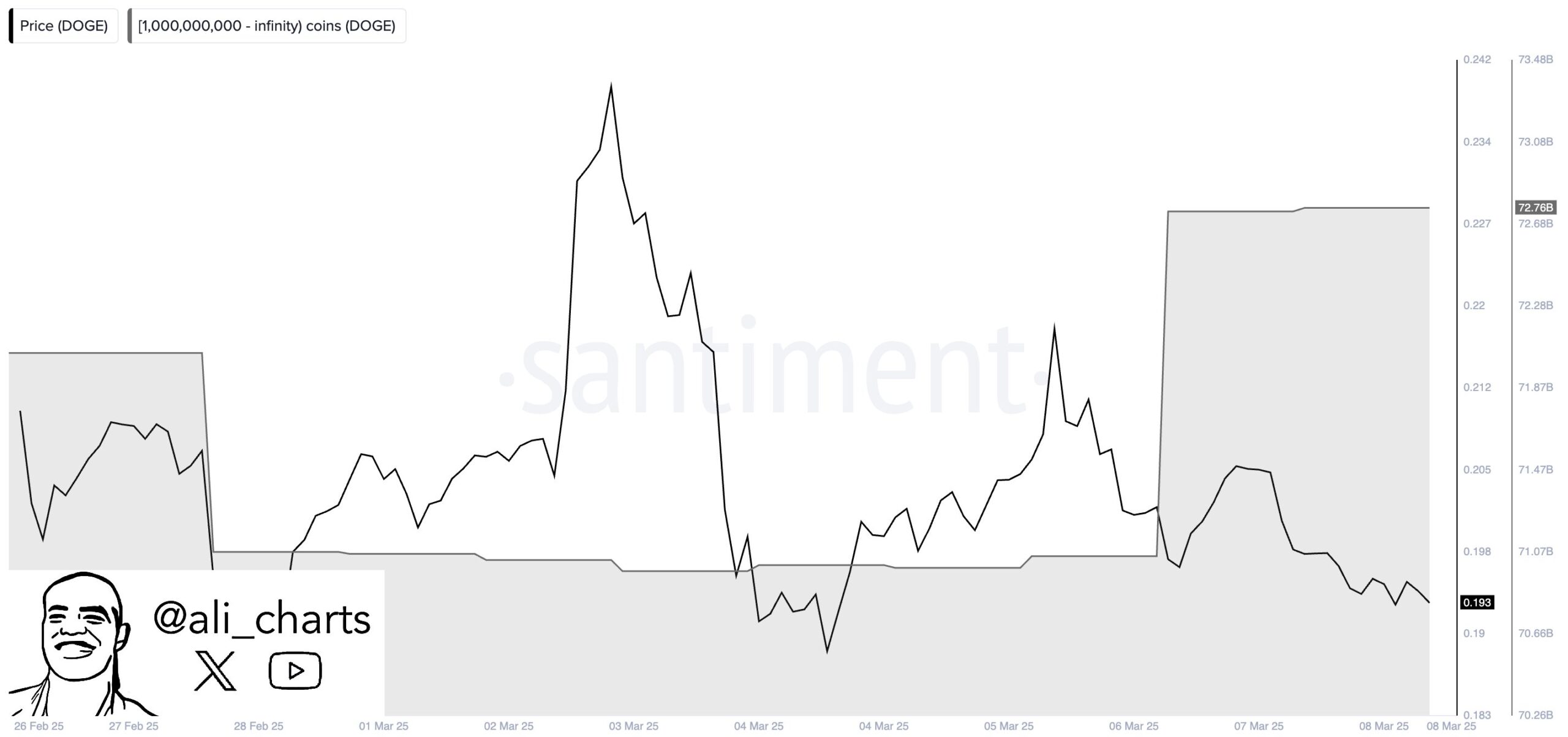 Dogecoin (DOGE) Whales Accumulation