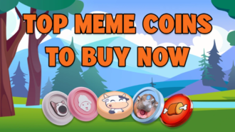 Top 10 Meme Coins to Buy