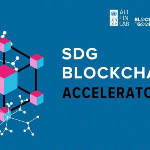 Blockchain for Good Alliance Launches Global Accelerator and Fund with UNDP
