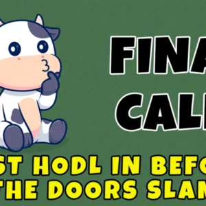 Final Bonus Rush: BTFD’s $2500 to $150K Potential—Top New Meme Coins to Buy and Hold for Short Term with SLERF and CHILLGUY Heating Up