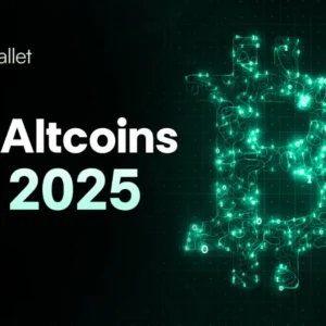 Top Crypto to Buy: Cold Wallet’s 50x Presale Leads as BONK, FLOKI, PEPE & SHIB Rally Into 2025