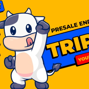 Best New Meme Coins for Significant Returns: BTFD’s Referral Code Surge and 8900% Upside Catch Fire as HIPPO and CHEEMS See Red