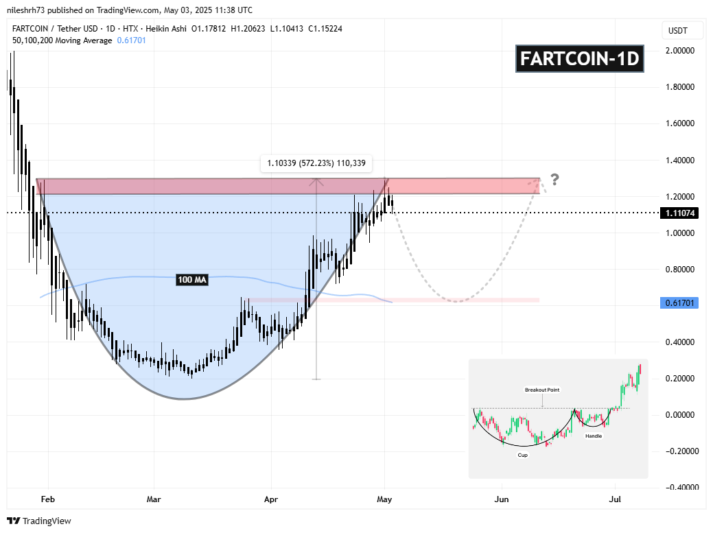 FARTCOIN Daily Chart