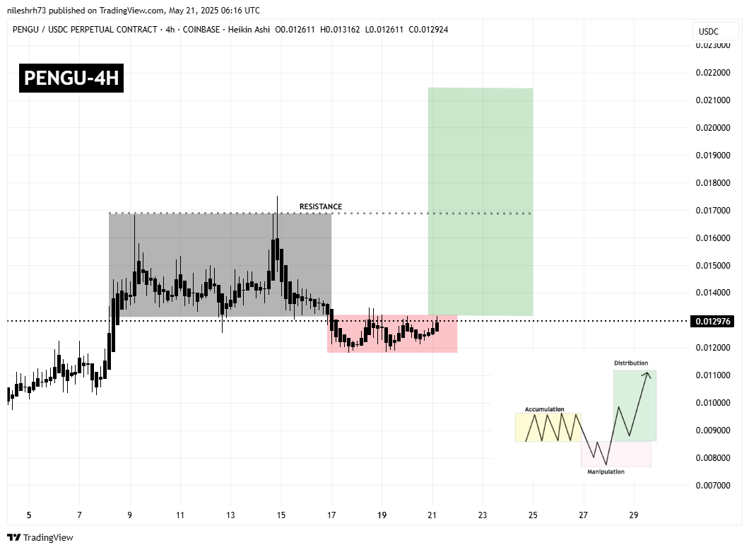 Pudgy Penguins (PENGU) 4H Chart