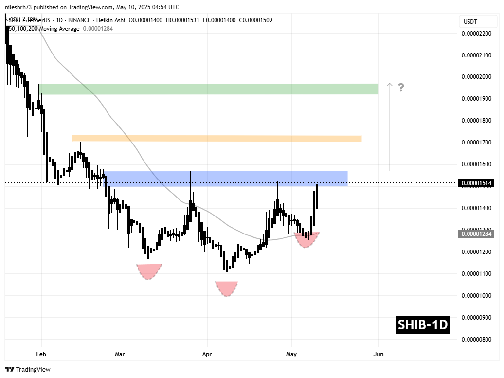 Shiba Inu (SHIB) Daily Chart