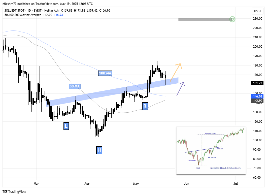 Solana (SOL) Daily Chart