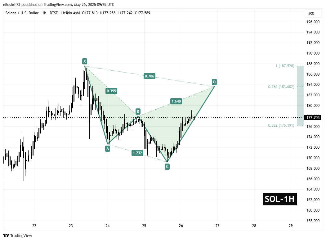 Solana (SOL) 1H Chart
