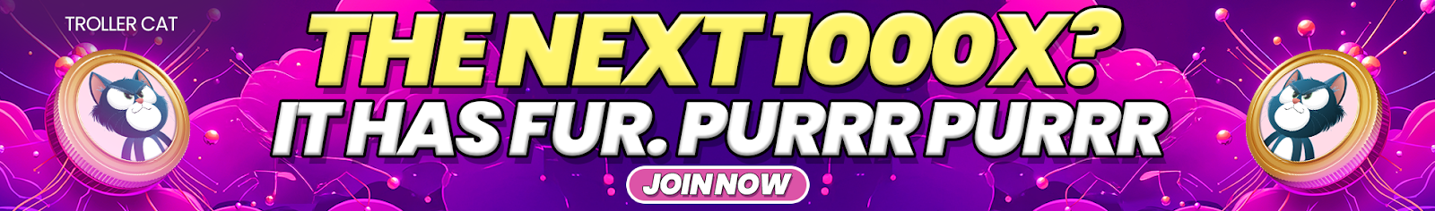 Next Crypto to Explode