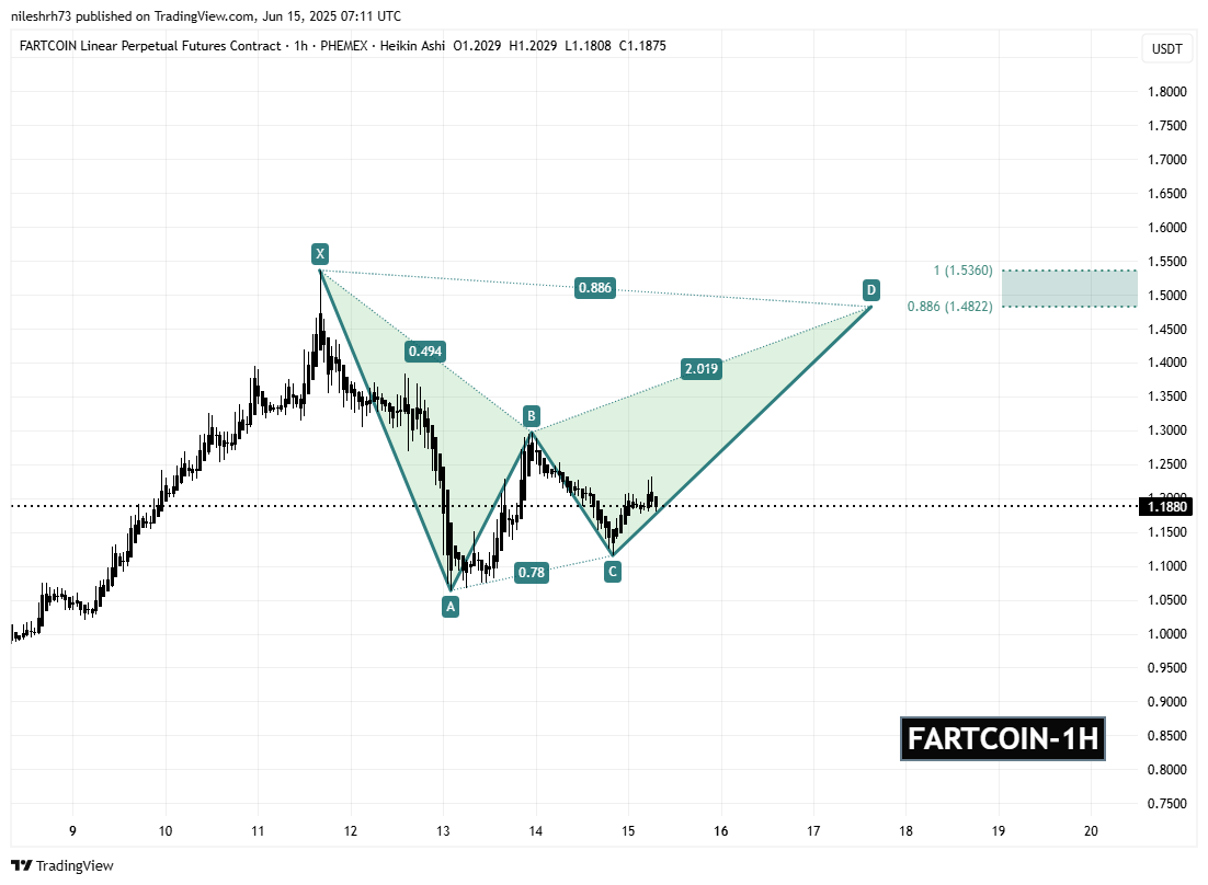 FARTCOIN 1H Chart