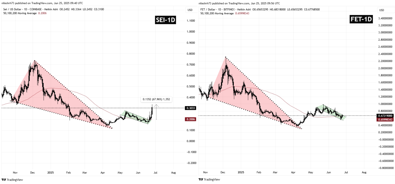 SEI and FET Fractal Chart