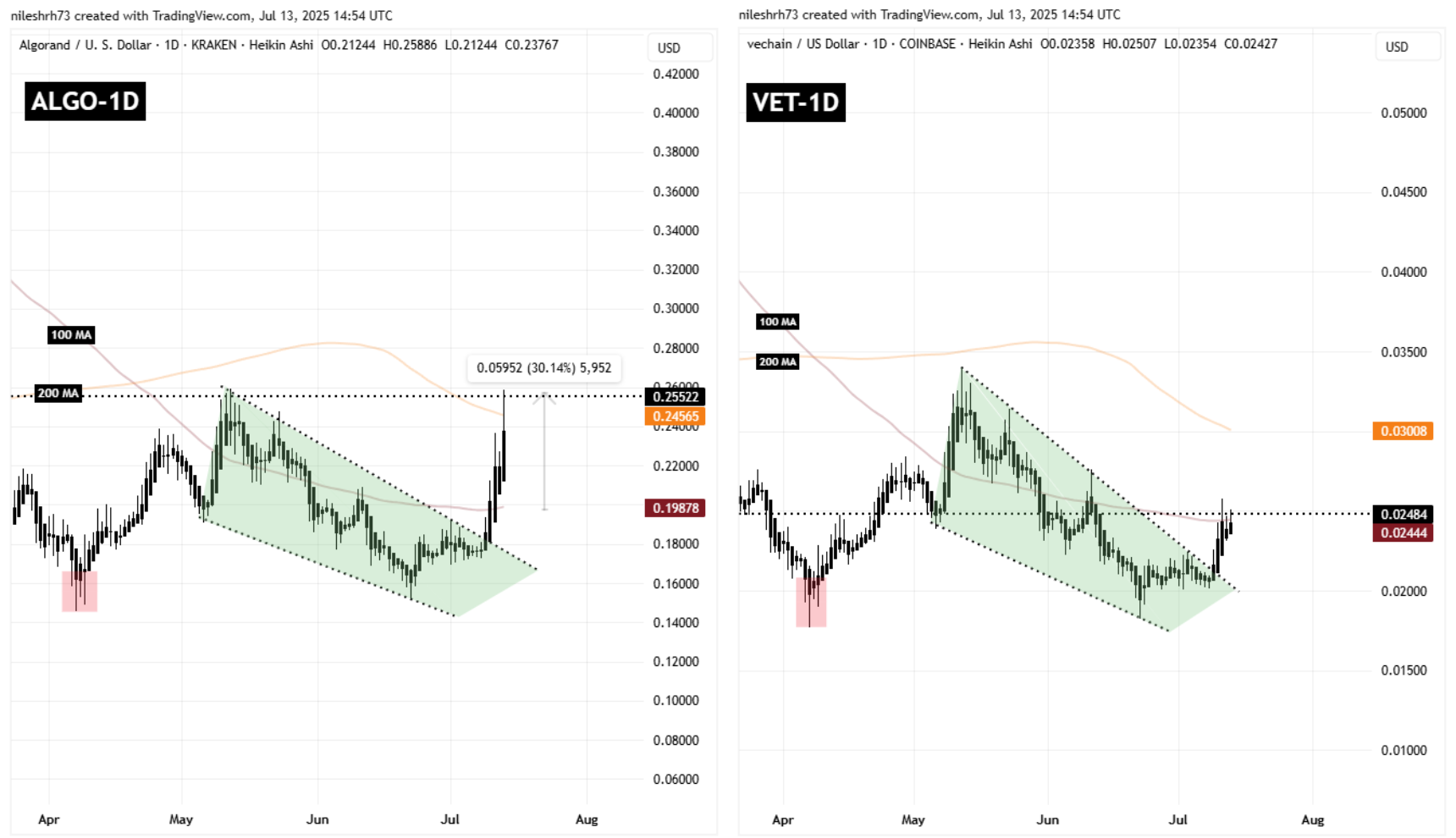 ALGO and VET Fractal Chart/