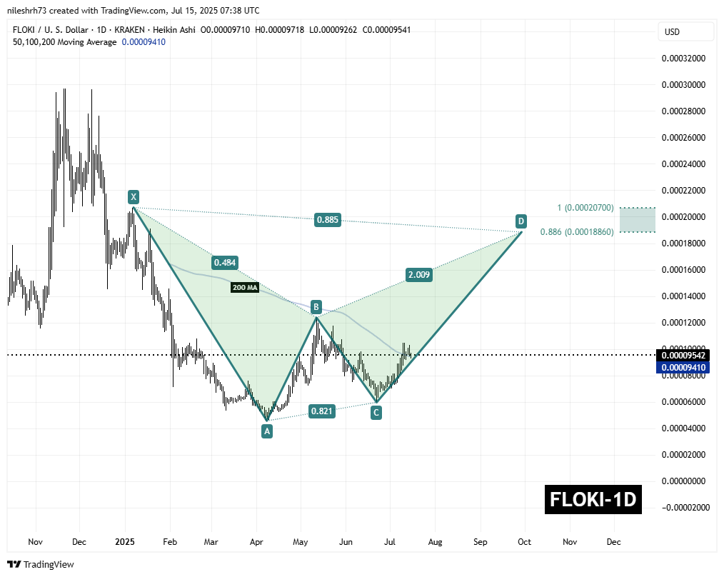FLOKI Daily Chart