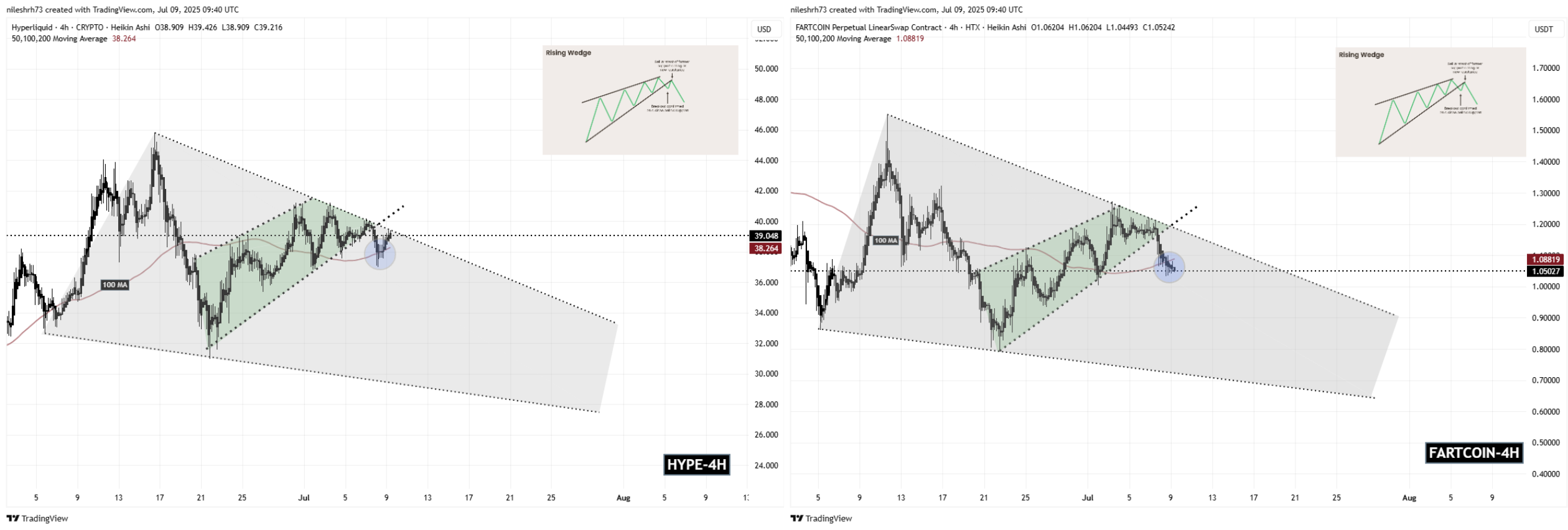 HYPE and FARTCOIN Fractal Chart