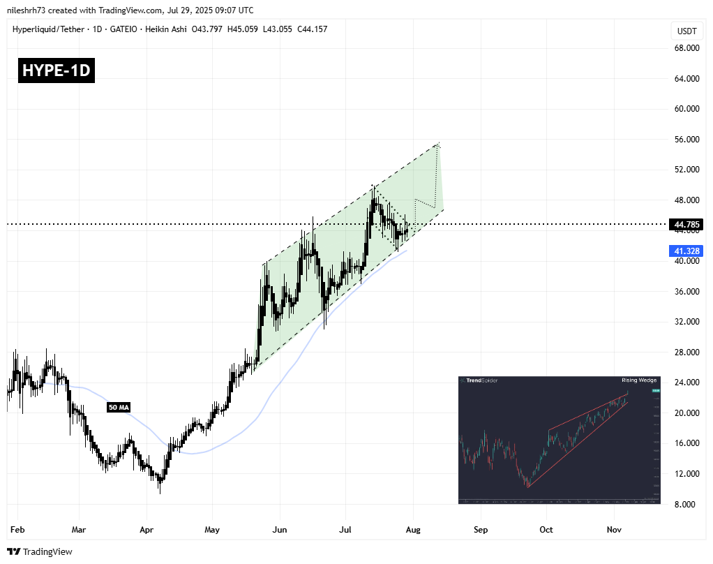 Hyperliquid (HYPE) Daily Chart